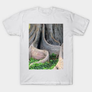 Roots T-Shirt